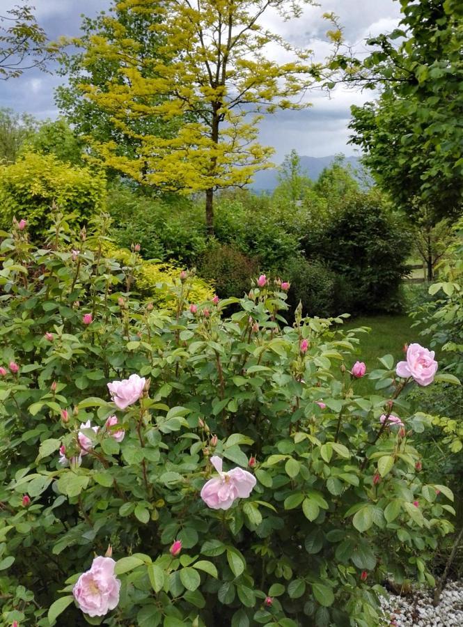 Villa Casa Delle Arti Fattoria Dei Fiori Sospirolo Exterior foto